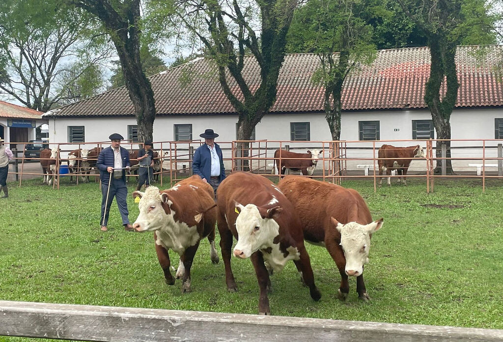 Farm Show 2025 divulga calendário de remates